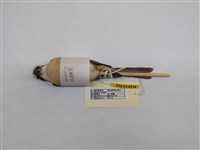 藏品(紅尾伯勞)的圖片